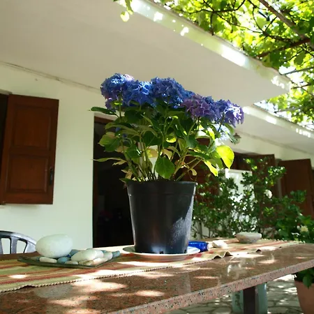 Paradeisos With Garden View * Áyios Dhimítrios