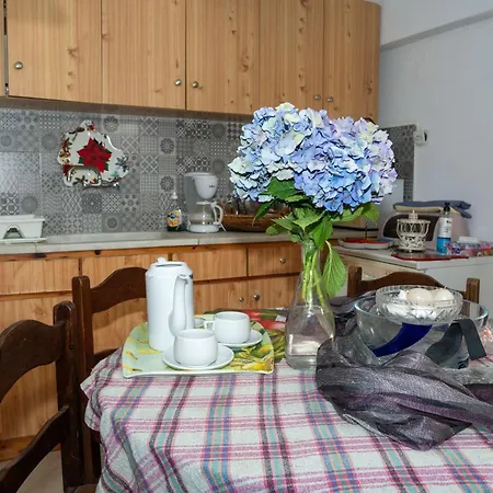 Paradeisos With Garden View Apartment Áyios Dhimítrios